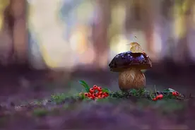夜话丨汪曾祺：我想念昆明的雨图片