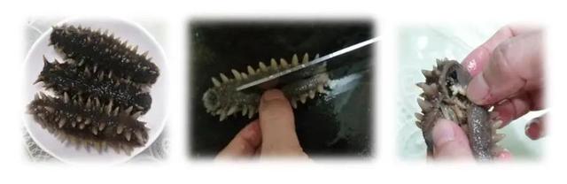 备孕吃海参还是花胶好 备孕吃海参还是花胶好些