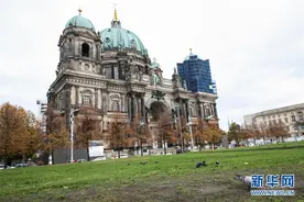 德国再次执行全国限制措施图片