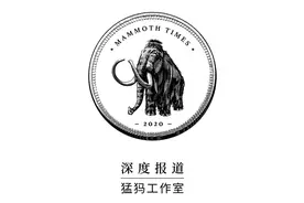 深度｜百亿补贴真相：看不见的低价“潜规则”，你真的赚了吗？图片