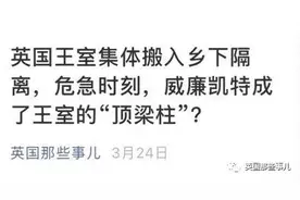 威廉4月感染新冠却偷偷瞒了下来！如今情况揭露，不少英国人不爽了图片