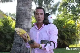 美国男付150美元去撸黑豹，一进笼就被扯掉头皮撕裂耳朵图片