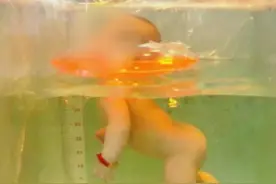 痛心！刚满月女婴戴脖圈游泳窒息身亡视频封面