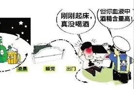 又是隔夜酒！“酒”和“驾”之间要隔多久？图片