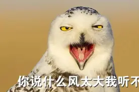 住了15年的房子，竟然是别人家的？！杭州女子崩溃图片