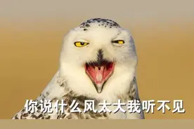 住了15年的房子，竟然是别人家的？！杭州女子崩溃图片