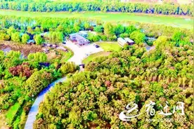 宿豫：金秋美景入画来 幸福生活踏歌至图片