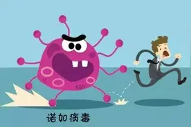诺如病毒高发季来了，孩子出现这些症状，家长需警惕图片