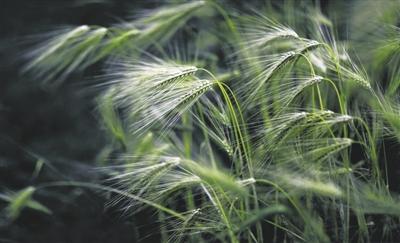 浠栬韩鍚庣暀涓嬮潚绋炵ⅶ娴? onerror=