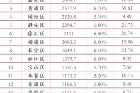 数读上海“十三五”经济：已有15区GDP超千亿图片