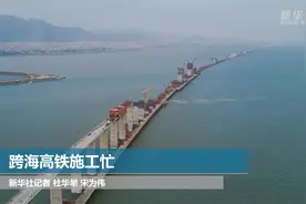 跨海高铁施工忙视频封面