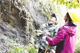 一介山民把八婺第一峰制成标本图片