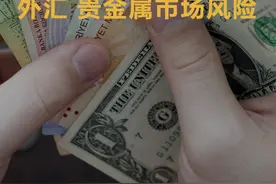 美国大选在即 两大行提示外汇、贵金属市场风险视频封面