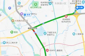 杭州男子堵高架上崩溃：我老婆羊水破了...接下来的操作神了图片