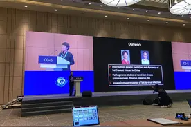 石正丽：阻断两个环节，最大程度降低新发传染病出现的风险图片