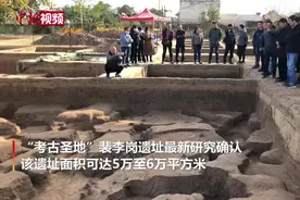 裴李岗遗址最新测年距今8000年前后 发现旧石器晚期遗存视频封面