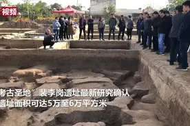 裴李岗遗址最新测年距今8000年前后 发现旧石器晚期遗存视频封面