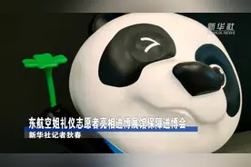 东航空姐礼仪志愿者亮相进博展馆保障进博会视频封面