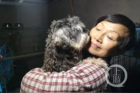 68岁奶奶收养1300多只动物，女儿卖掉房子支持她图片