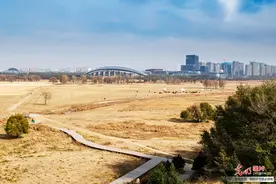 赛罕塔拉城中草原：都市与自然的和谐之美图片