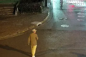 女子骑共享单车遛狗摔倒，醒来竟失忆了！不认识自家狗狗了图片