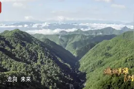 脱贫故事｜他们用生命书写脱贫攻坚变革奇迹 致敬平凡英雄视频封面