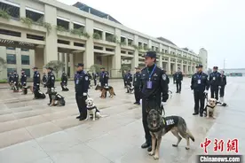 重庆公安开展警犬技术实战比武 21条“警汪”秀搜爆绝技图片