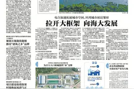 拉开大框架，向海大发展！环湾城市建设初具雏形｜"十三五"发展电白一线走读图片