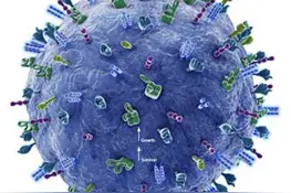 人人学懂免疫学：第十期图片