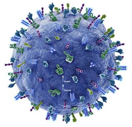 人人学懂免疫学：第十期