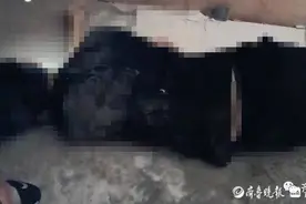 济南26岁男子打篮球后失联，一天后被发现时已身亡图片