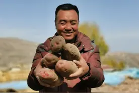 “土豆兄弟”的梦想图片
