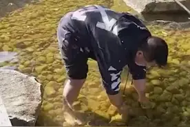 爸爸这个行为，引全网点赞→图片