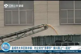 盐城市大丰区新丰镇：村企双方“手牵手”，振兴路上“一起走”视频封面