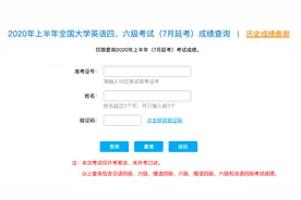 2020年全国大学英语四六级CET考试成绩查询地址 四六级英语成绩查询入口图片