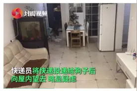 您的快递已经被狗子签收图片