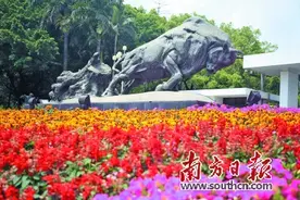 深圳精神塑造独特城市气质图片