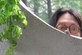 专访｜朱赢椿《虫子诗》：虫子是这世上最随性的艺术家图片