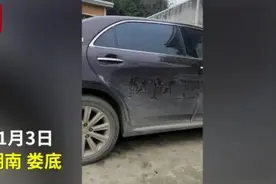 栩栩如生！男子用手指在车门上画八骏图，网友：高手在民间图片