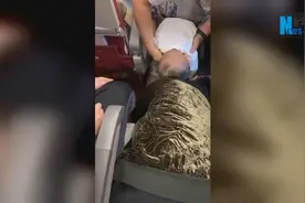 宝宝机上遇险 海航空姐这样操作获点赞图片