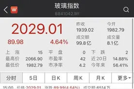 光伏玻璃价格飙涨，相关概念股又火了，这两股封上涨停图片