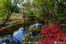 晚秋也是一抺最美的景图片