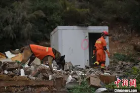 云南省消防救援总队开展地震救援跨区域实战演练图片