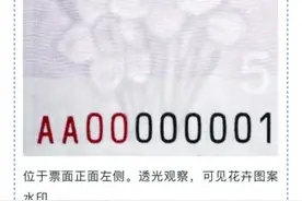 2020年版第五套人民币5元纸币明日发行，水印浮现“水仙花”“漳州郎”倍感亲切图片