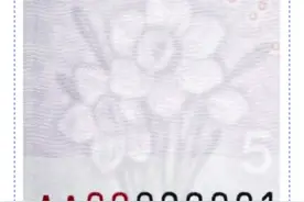 2020年版第五套人民币5元纸币明日发行，水印浮现“水仙花”“漳州郎”倍感亲切图片
