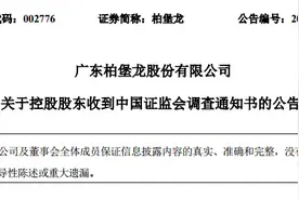 柏堡龙实控人涉嫌操纵股价遭立案调查，近一年半减持套现超七亿图片