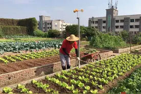 “光盘行动”助推餐厨垃圾减量 企业食堂这么做图片
