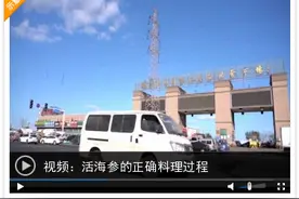 活海参的正确料理过程，你了解吗？图片