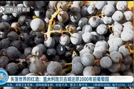 意大利庞贝古城：揭秘古代葡萄种植技术，还原2000年前葡萄园视频封面