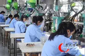 贺州市投资促进和商务局局长何应继：蓄能发展 倾力服务图片